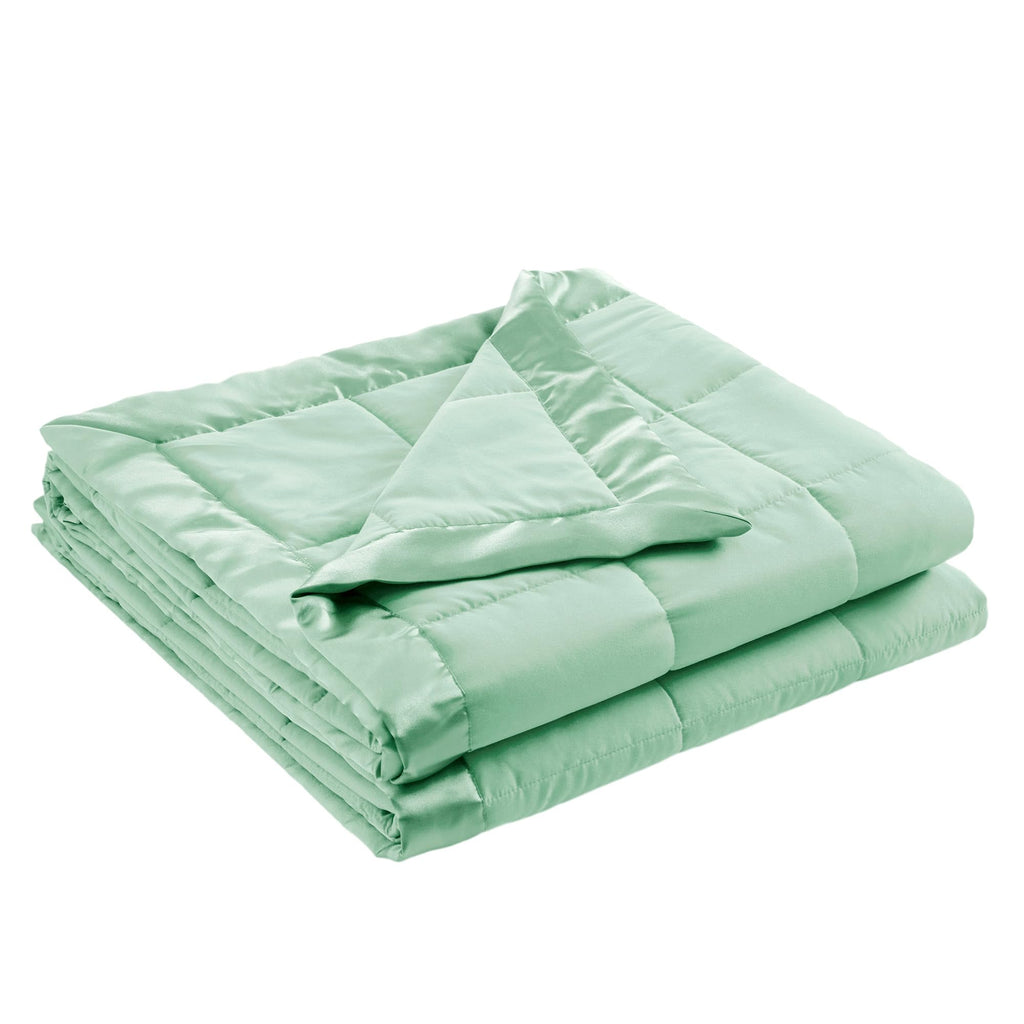 Down Alternative Queen Blanket with Satin Trim