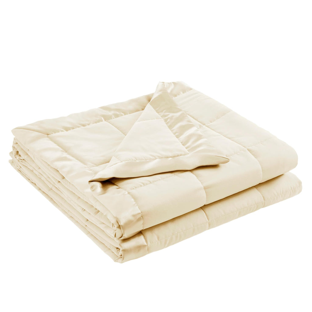 Down Alternative Queen Blanket with Satin Trim