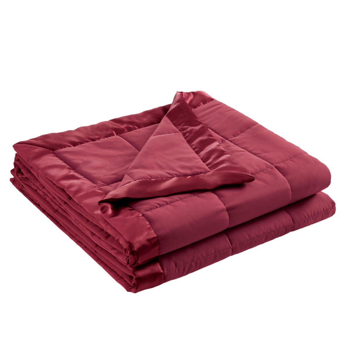 Down Alternative Queen Blanket with Satin Trim