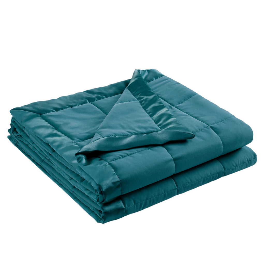 Down Alternative Queen Blanket with Satin Trim