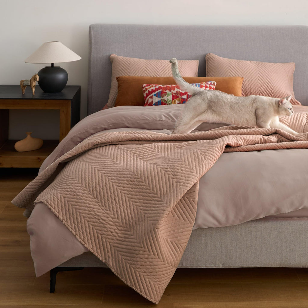 SLASHOP FURRFREE Quilt Set